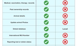 Everything you need to know about pet microchip comparison chart