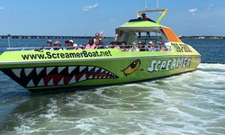 How to Choose the Right Speedboat Tour for Dolphin Sightings
