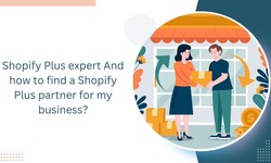 What is a Shopify Plus expert? And how to find a Shopify Plus partner for my business?