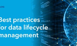 Best practices for data lifecycle management