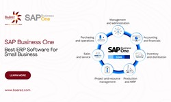 SAP Business One the best ERP software for Small Business - 2024