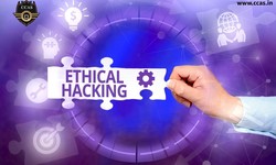 7 Expert Tips for Maximizing Learning in Ethical Hacking Training Programs