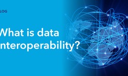 What is data interoperability?