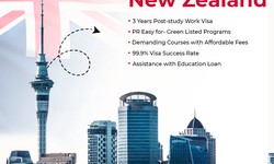 New Zealand Study Visa Consultant in Delhi: Transglobal