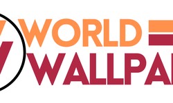 Trending Wallpapers in Gurgaon: Transform Your Space with World of Wallpaper