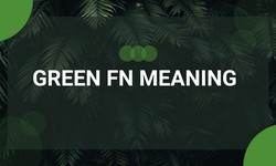 Unveiling the Mystery Behind ‘Green FN’: A Beginner's Guide