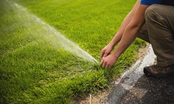 6 Essential Steps to Launching Your Own Irrigation Company in Riyadh