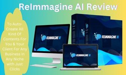 ReImmagine AI Review | Never Worry About Video Creation or Designing Again