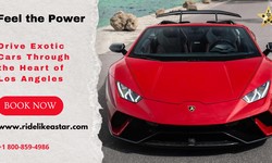 Feel the Power: Drive Exotic Cars Through the Heart of Los Angeles