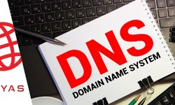 HYAS and Carahsoft Secure Public Sector DNS