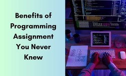 Benefits of Programming Assignment You Never Knew!