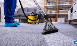 Transforming Homes: The Essential Role of Carpet Cleaners in Henderson, Nevada