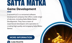 Cuevasoft LLC: Revolutionizing the World of Satta Matka Game Development