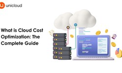 Unlocking the Potential of Cloud Cost Optimization