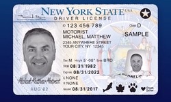 How Our Fake Driver License Front and Back Designs Set a New Standard