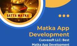 The Best Matka App Development Companies in India: Cuevasoft LLC