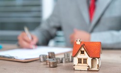 What are the different strategies of property investment?