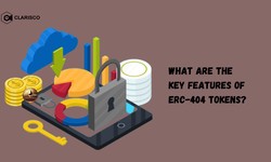 What are the Key Features of ERC-404 Tokens?
