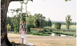 Absolutely, here's the article:  Wedding Venues in Winchester, VA: A Comprehensive Guide to the Perfect Wedding Location