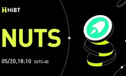 Thetanuts Finance (NUTS) Investment Research Report: Decentralized on-chain options protocol focusing on altcoin options