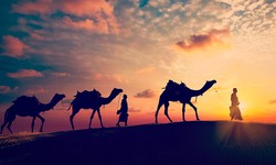 Planning Your Trip to Rajasthan: A Simple Guide