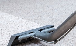 Preparing Your Home for Professional Carpet Cleaning