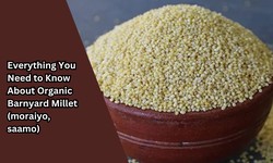Everything You Need to Know About Organic Barnyard Millet (Moraiyo, Saamo)