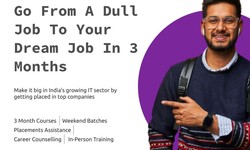 Software Development Courses: Launch Your Tech Career with Purple Academy