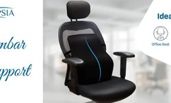 What Does The Lumbar Support Do On A Chair?