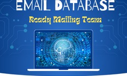 Elevate Your Marketing Campaigns with Precision and Efficiency Email Database