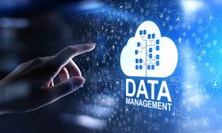 Data Management | The Ultimate Guide to Data Management in the Digital Age