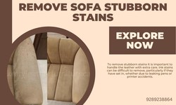 Can Professionals Remove Sofa Stubborn Stains?