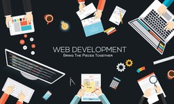 Your Go-To Website Development Company in Delhi