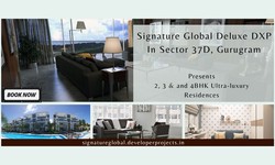 Signature Global Deluxe DXP In Sector 37D, Gurugram