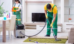 Eco-Friendly Carpet Cleaning Solutions in Diamond Creek