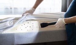 5 Essential Steps for Getting Rid of Bed Bugs from a Mattress