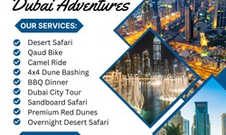 Camel Ride & Afternoon Safari With Desert Safari Dubai Adventures | +971 55 553 8395