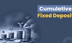 Empower Your Financial Decisions with an FD Cumulative Interest Calculator