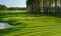 How Corporate Golf Packages Enhance Business Relationships?