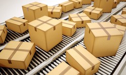 Cost-Effectiveness of Custom Packaging with Wholesale Custom Boxes …
