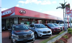 DIY vs. Professional: Pros and Cons of Kia Service Options