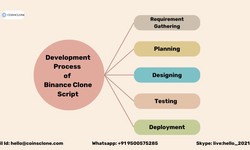 Development Process of Binance Clone Script