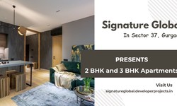 Signature Global Sector 37 Gurugram - Limitless Style, Unreal Service