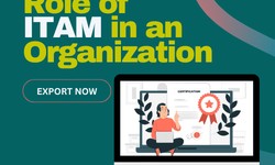 Role of ITAM in an Organization
