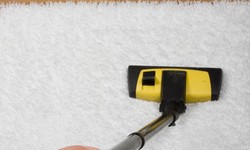 Comprehensive Guide to Carpet Cleaning and Repair in Fitzroy