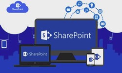 SharePoint Development 101: What You Need to Know