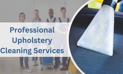 How Professional Upholstery Cleaning Can Benefit You