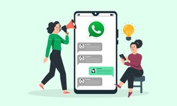 Shaping Dialogues: The Progression of Divsly's Whatsapp Campaign Tactics