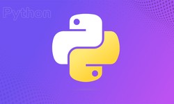 Python Programming for Beginners and Tips to Check Version