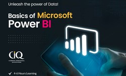 Data to Insights Your Path to Power BI Learning